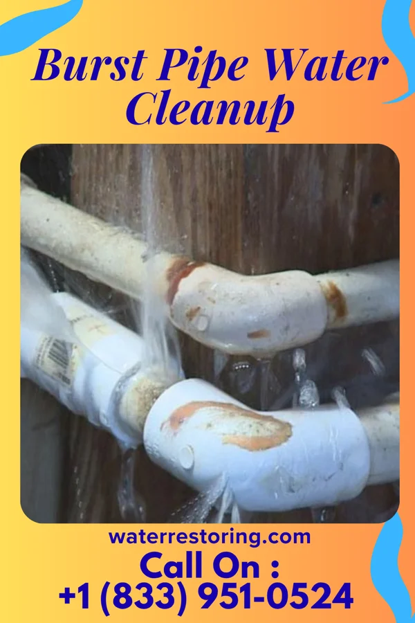 Burst Pipe Water Cleanup in Blue River, WI