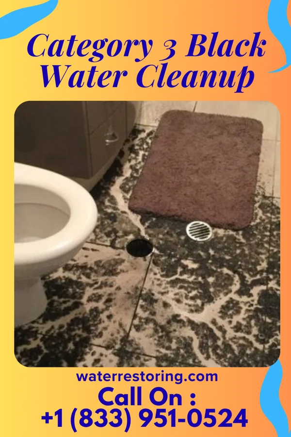 Category 3 Black Water Cleanup in Blue River, WI