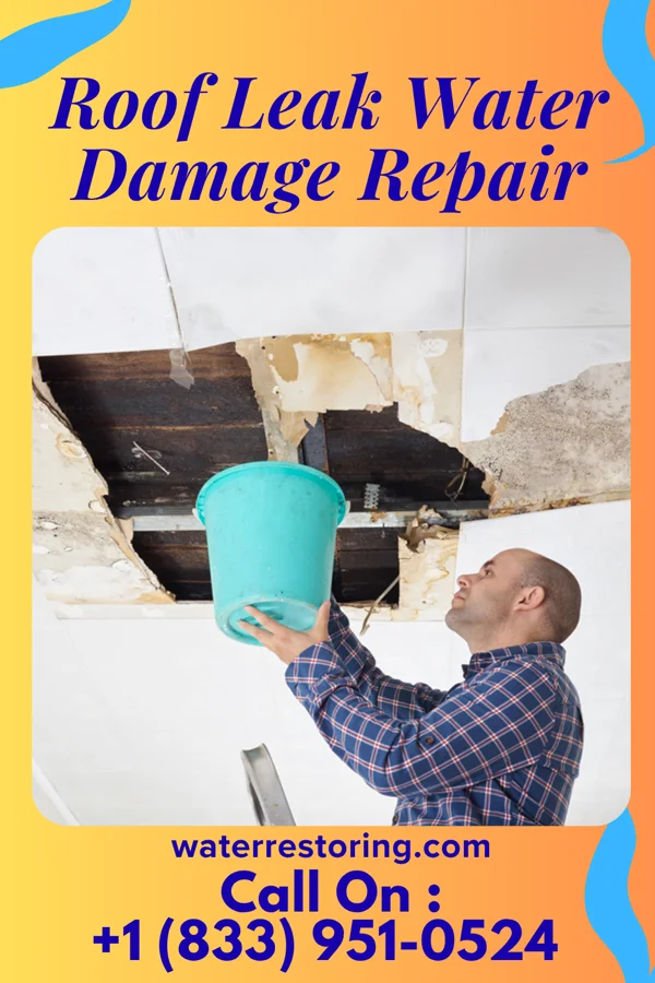 Roof Leak Water Damage Repair in Blue River, WI